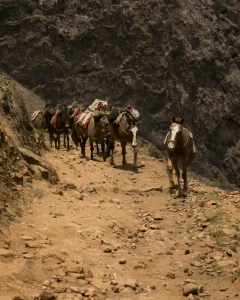 CHOQUEQUIRAO TREK 4 DAYS FROM CUSCO: The Inca City Almost Nobody Reaches