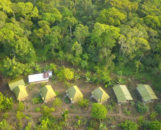 TAMBOPATA NATIONAL RESERVE 2 DAYS TOUR: Sandoval Lake and the Chuncho Macaw Clay Lick