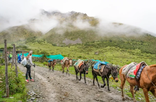 Salkantay Trek Peru Machu Picchu Team 58