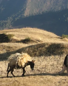 HUCHUY QOSQO TREK TO MACHU PICCHU 2 DAYS