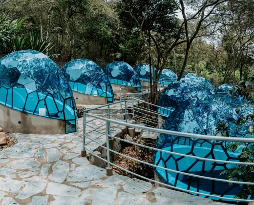 SALKANTAY TREK 4 DAYS TO MACHU PICCHU VIA LLACTAPATA: All the Highlights in Less Time
