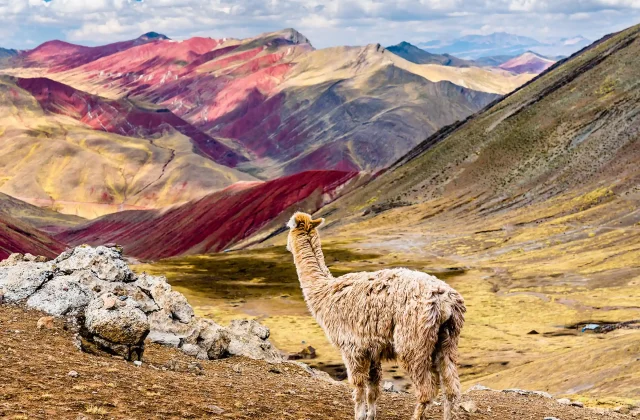 vinicunca rainbow mountain