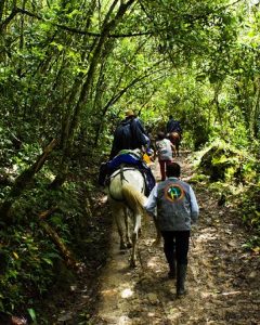 GOCTA WATERFALL FULL DAY TOUR: Discover One of Peru’s Most Spectacular Waterfalls