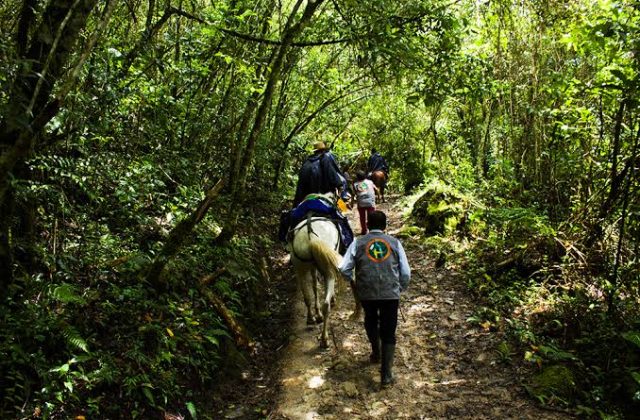 HORSES TO GOCTA