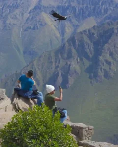 COLCA CANYON FULL DAY TOUR FROM AREQUIPA: Andean Condors at Cruz del Cóndor