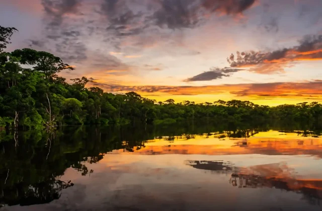 great-amazon-river-with-beautiful-sunset-high-resolution-sharpness-amazon-river-concept