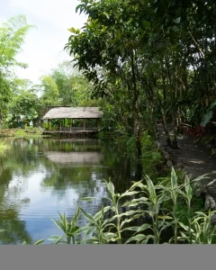 TAMBOPATA NATIONAL RESERVE 2 DAYS TOUR: Sandoval Lake and the Chuncho Macaw Clay Lick